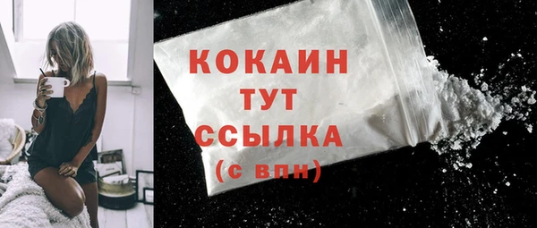 сатива Куйбышев