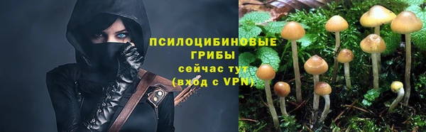 сатива Куйбышев