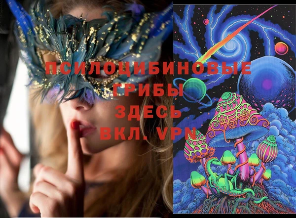 МДПВ Кукмор