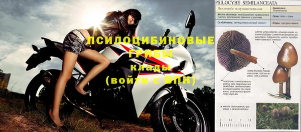 винт Ладушкин