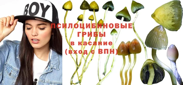 МДПВ Кукмор