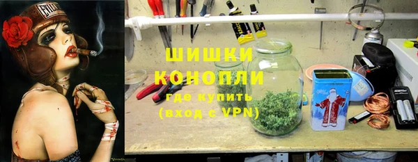 сатива Куйбышев