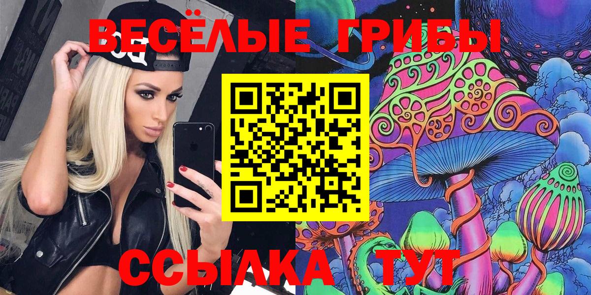 купить наркотики сайты  Вход с VPN  Михайловка  Псилоцибиновые грибы мицелий 